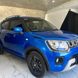 IGNIS